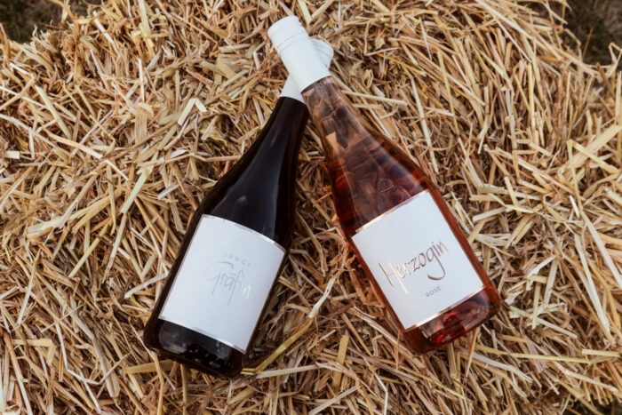 Branding Brothers Weinblick